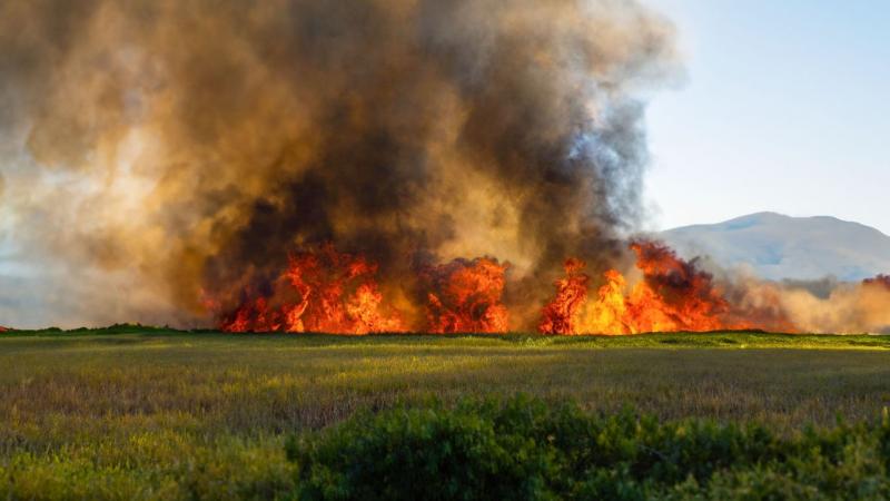 Miklós területén három különböző ponton lángok csapnak fel, és a levegőt a tűzoltók szirénáinak hangja tölti be, jelezve a sürgős helyzetet.