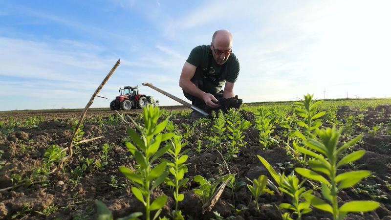 Milyen lehetőségek várnak a biogazdálkodókra Európában a jövőben?