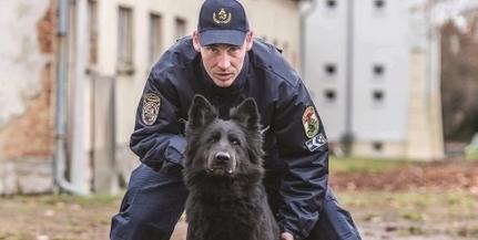 Erősítésre van szükség: a rendőrség új szolgálati kutyákat keres!