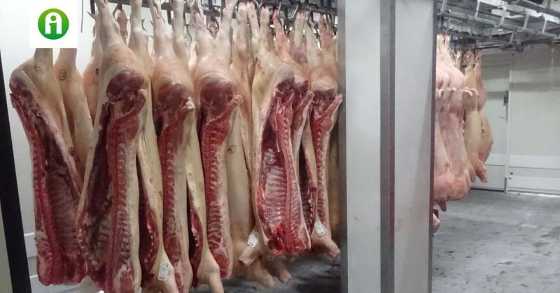 Megdöbbentő mennyiségű élelmiszert foglalt le a hatóság egy hajmáskéri üzem területén.