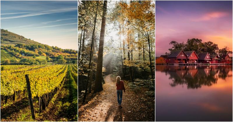 Fedezd fel Magyarország varázslatos kirándulóhelyeit, ahol az ősz színei még a legszebb álmokat is felülmúlják! Ezek a helyszínek nemcsak a természet csodáit kínálják, hanem a lélek feltöltődését is garantálják. Élvezd a színek kavalkádját, a levelek aran