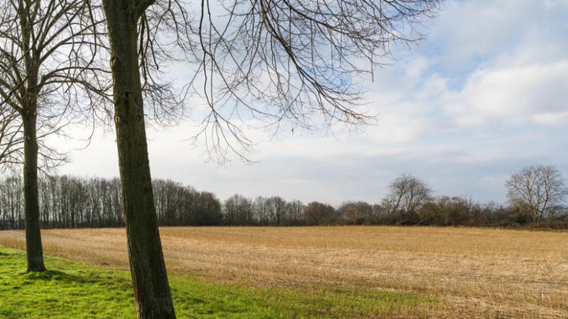 Fedezd fel a magyar gazdák világát: vigyázz, lehet, hogy te is köztük vagy! - Agrárszektor